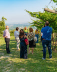 Wine tour and Tasting in a small Estate on Valpolicella Hills - Wine Tasting - Touraround