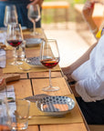 Wine tour and Tasting in a small Estate on Valpolicella Hills - Wine Tasting - Touraround