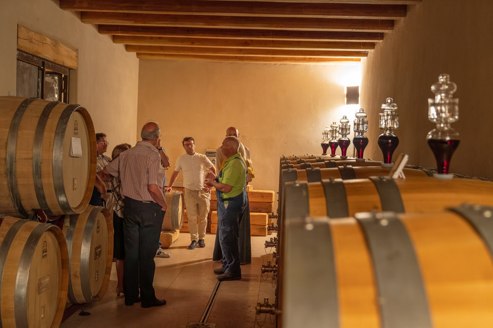Wine tour and Tasting in a small Estate on Valpolicella Hills - Wine Tasting - Touraround
