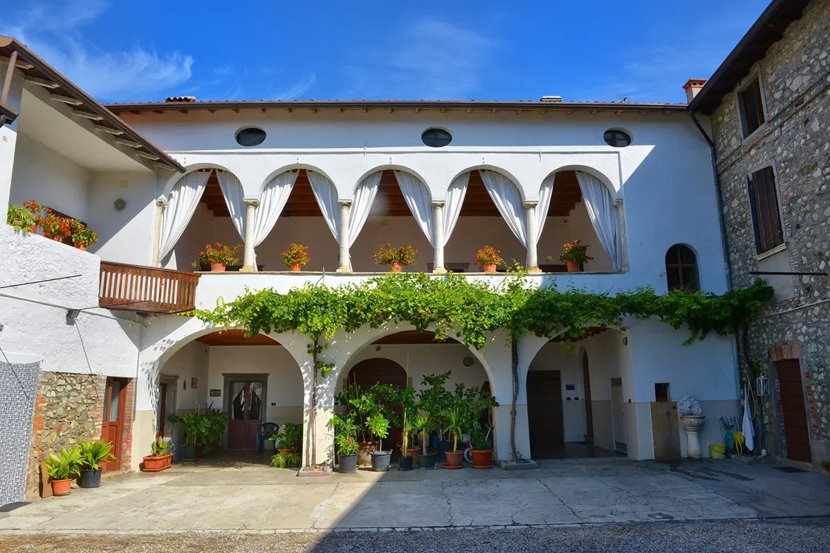 Wine Tour and Tasting of 4 Rosè Valtenesi Wines in Polpenazze - Wine Tasting - Touraround