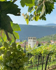 Wine tour and tasting of 4 Valpolicella Wines in a Medieval Court - Wine Tasting - Touraround