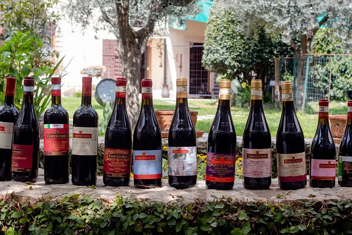 Wine tour and tasting of 4 Valpolicella Wines in a Medieval Court - Wine Tasting - Touraround