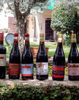 Wine tour and tasting of 4 Valpolicella Wines in a Medieval Court - Wine Tasting - Touraround