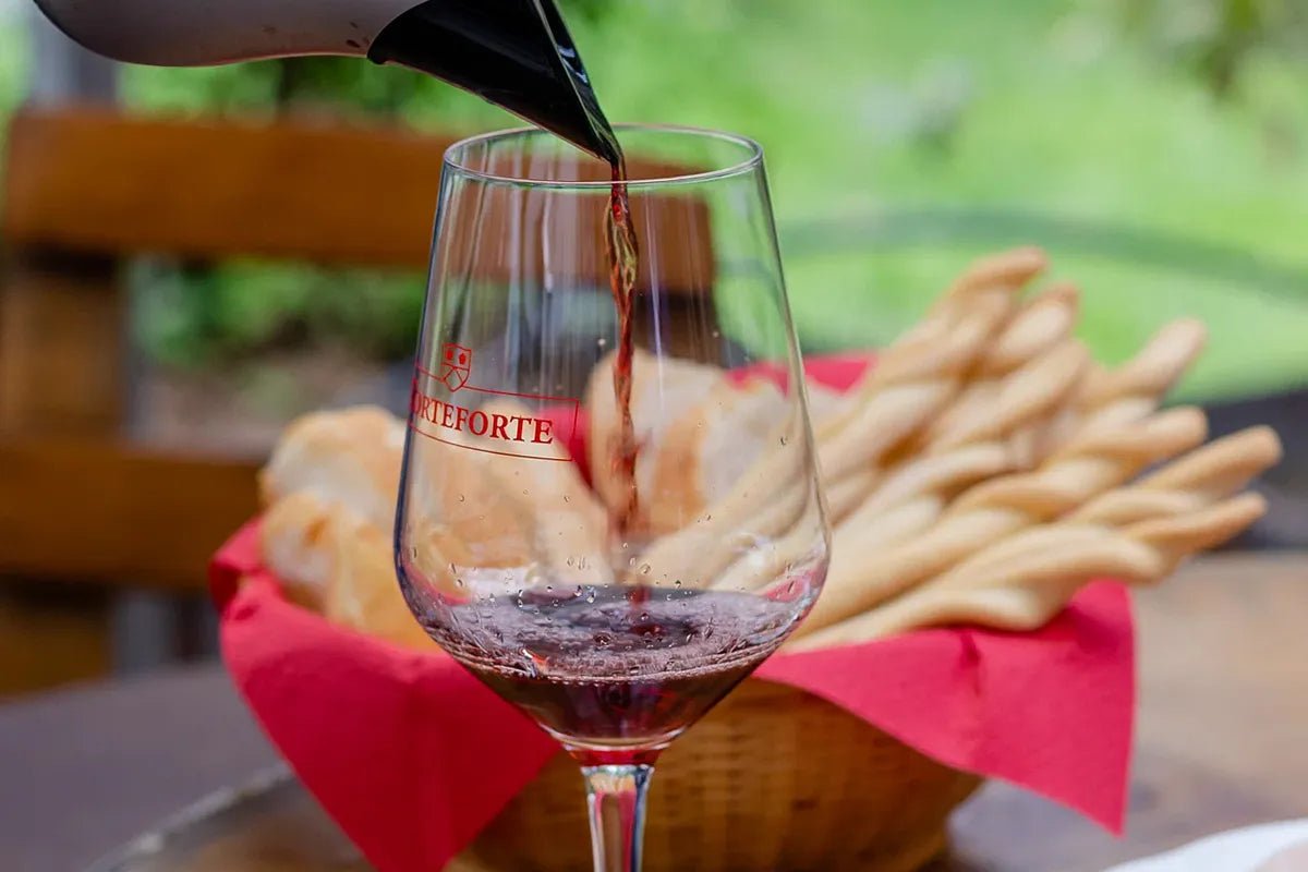 Wine tour and tasting of 4 Valpolicella Wines in a Medieval Court - Wine Tasting - Touraround