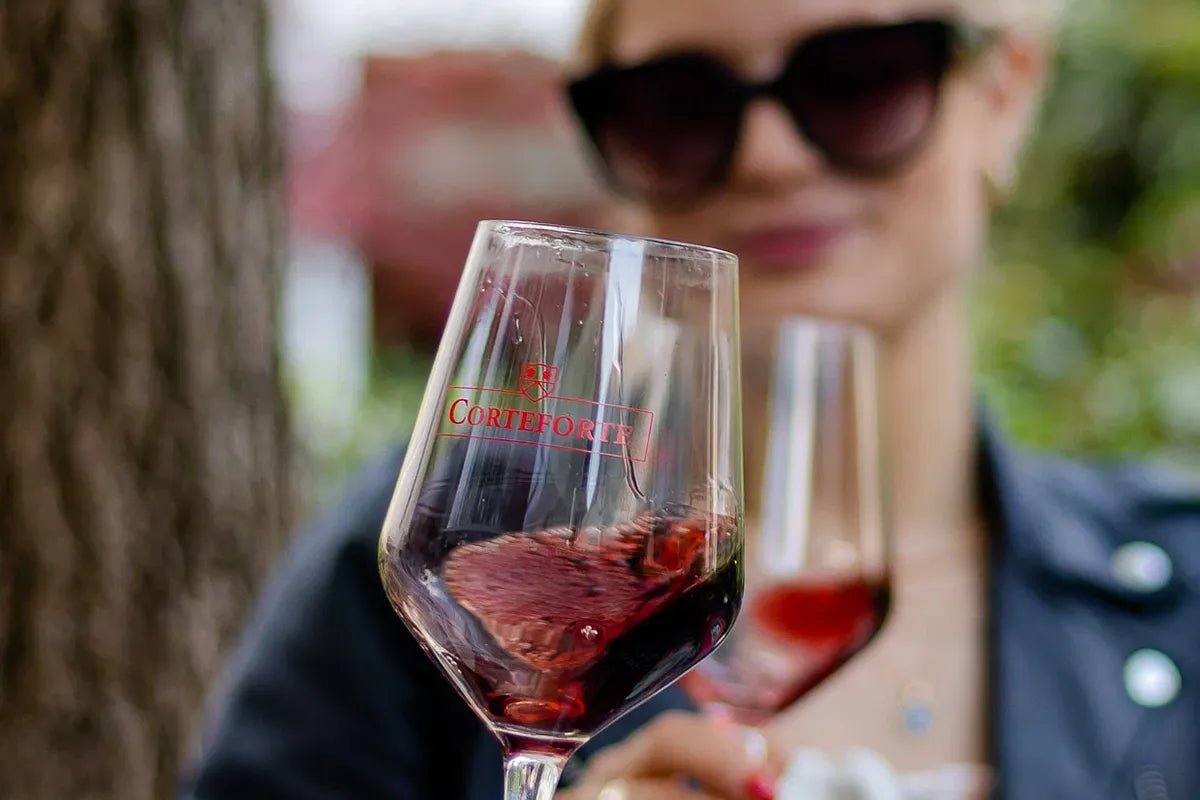 Wine tour and tasting of 4 Valpolicella Wines in a Medieval Court - Wine Tasting - Touraround