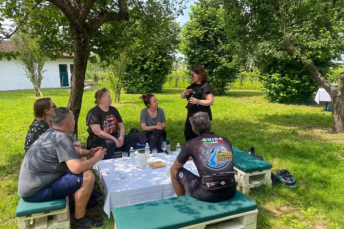 Wine tour and Tasting of Lugana Wines in Sirmione - Wine Tasting - Touraround