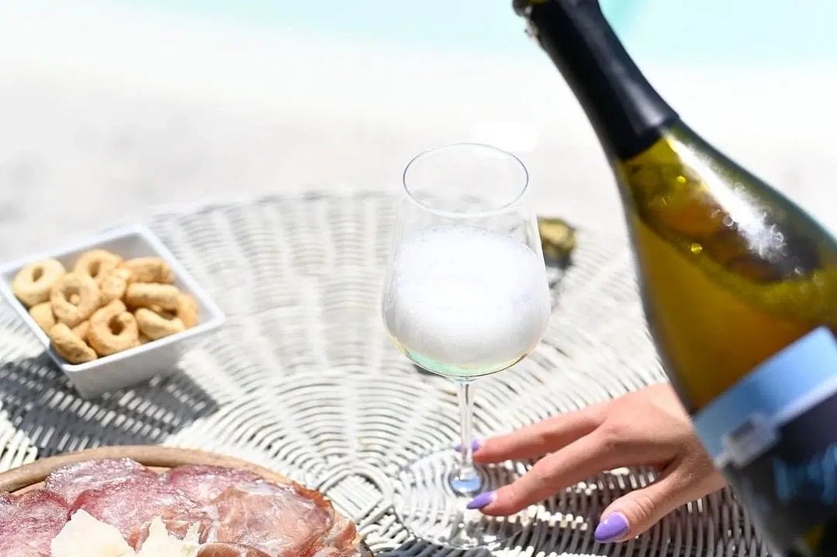 Wine tour and Tasting of Lugana Wines in Sirmione - Wine Tasting - Touraround