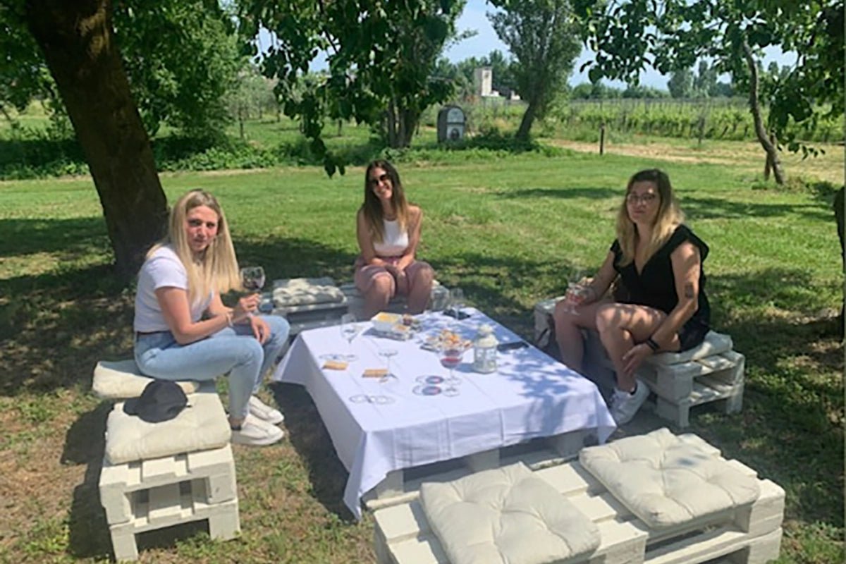 Wine tour and Tasting of Lugana Wines in Sirmione - Wine Tasting - Touraround