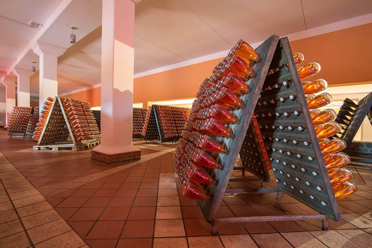 Wine Tour and Tasting on Garda Hills - Wine Tasting - Touraround