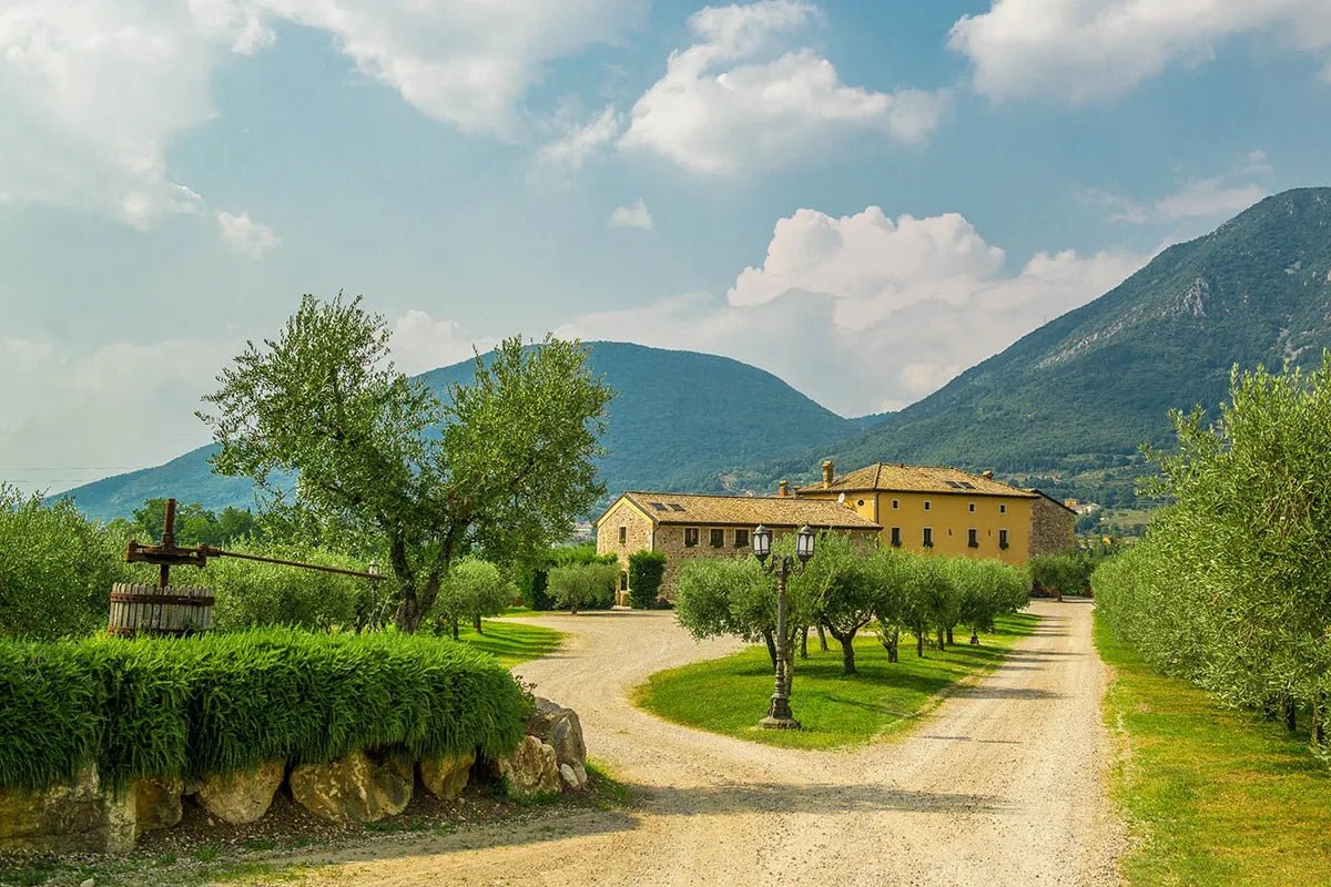 Wine Tour and Tasting on Garda Hills - Wine Tasting - Touraround