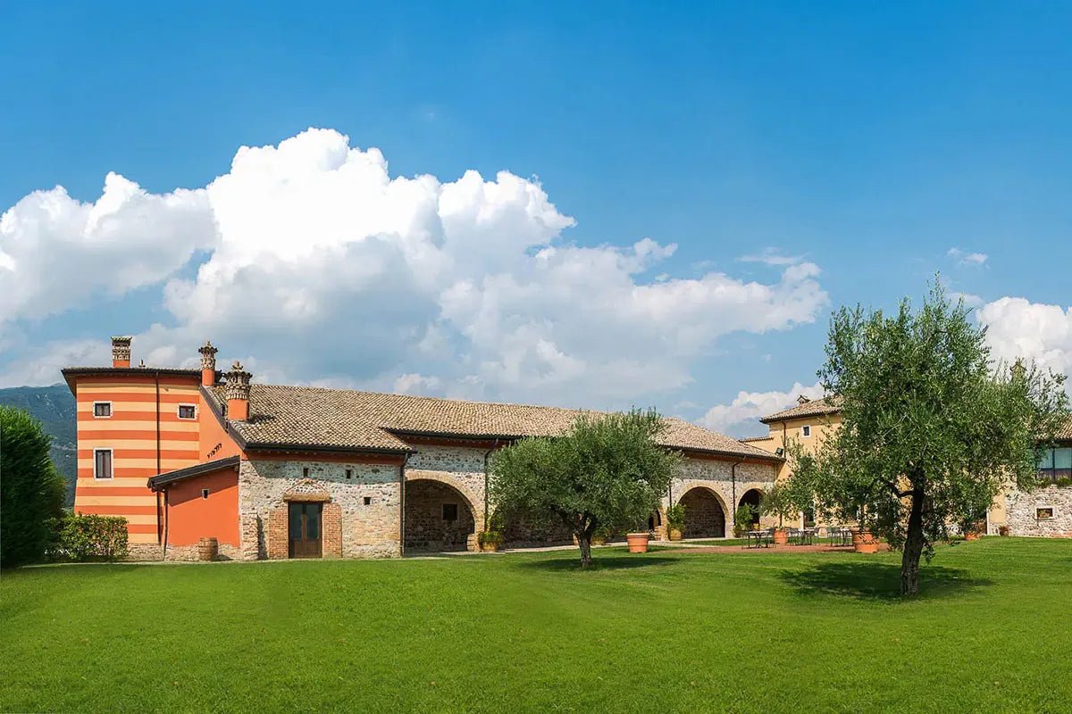 Wine Tour and Tasting on Garda Hills - Wine Tasting - Touraround