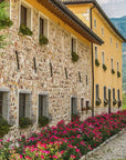 Wine Tour and Tasting on Garda Hills - Wine Tasting - Touraround