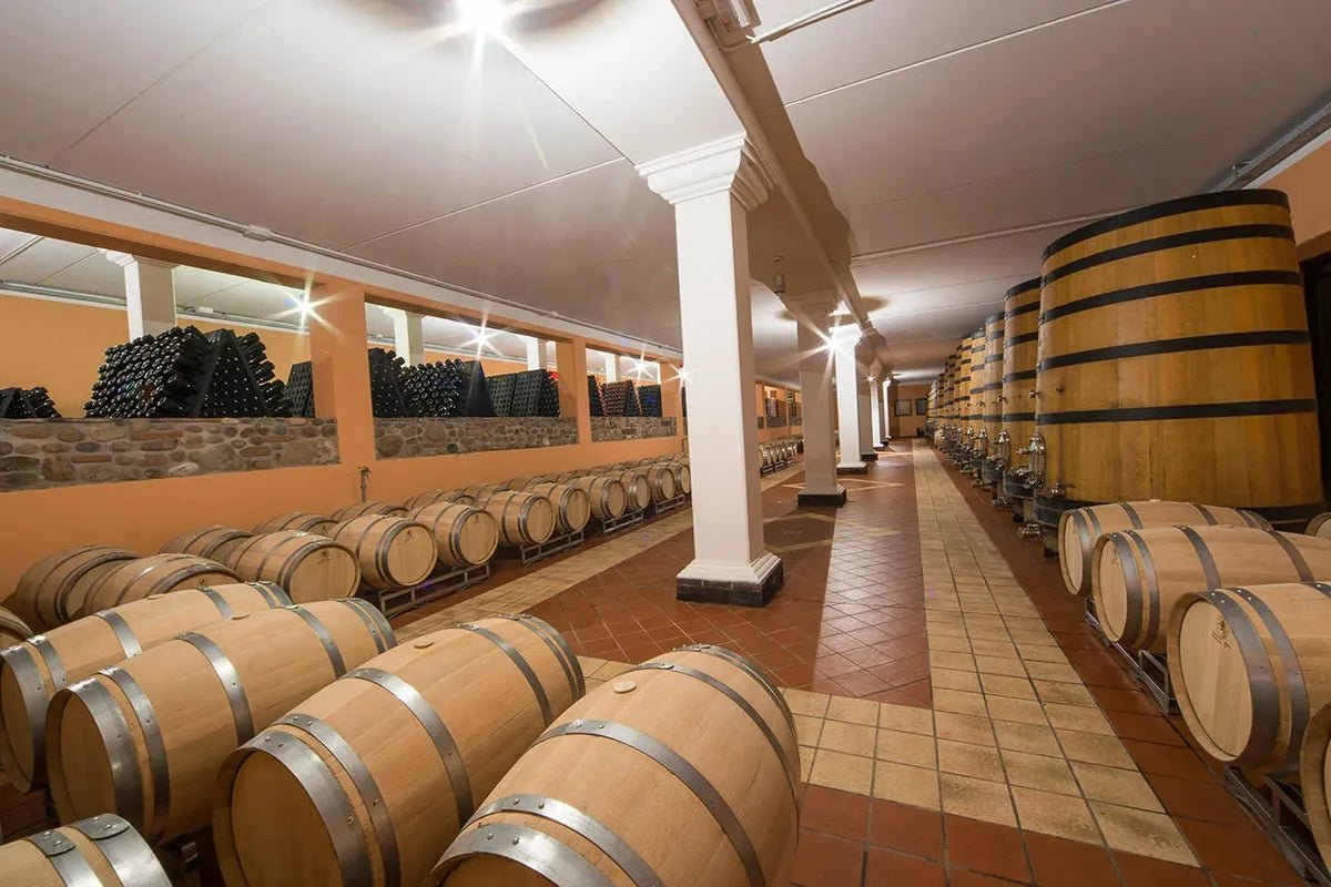 Wine Tour and Tasting on Garda Hills - Wine Tasting - Touraround