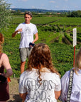 Winery Tour and Tasting of Garda Wines in Lazise - Wine Tasting - Touraround