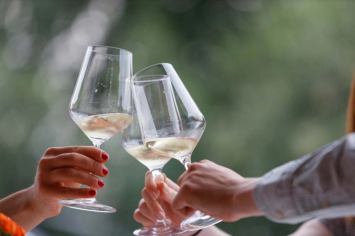 Winery Tour and Tasting of Garda Wines in Lazise - Wine Tasting - Touraround
