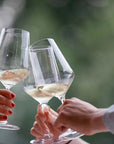 Winery Tour and Tasting of Garda Wines in Lazise - Wine Tasting - Touraround