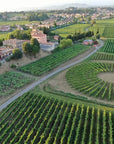 Winery Tour and Tasting of Garda Wines in Lazise - Wine Tasting - Touraround