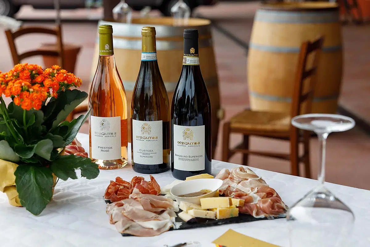 Winery Tour and Tasting of Garda Wines in Lazise - Wine Tasting - Touraround