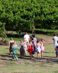 Winery Tour and Tasting of Garda Wines in Lazise - Wine Tasting - Touraround