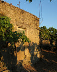 Winery Tour and Wine Tasting with Food at Roman Castles - Wine Tasting - Touraround