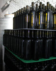 Winery Tour and Wine Tasting with Food at Roman Castles - Wine Tasting - Touraround
