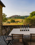 Winery Tour and Wine Tasting with Food near Livorno and Pisa - Wine Tasting - Touraround