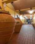 Winery Tour and Wine Tasting with Food near Livorno and Pisa - Wine Tasting - Touraround