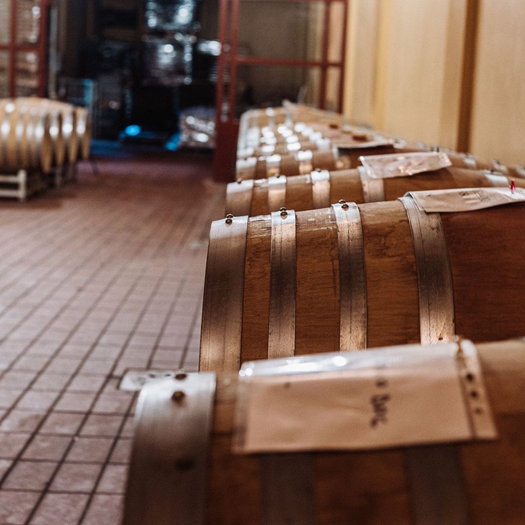 Winery Tour and Wine Tasting with Food near Livorno and Pisa - Wine Tasting - Touraround