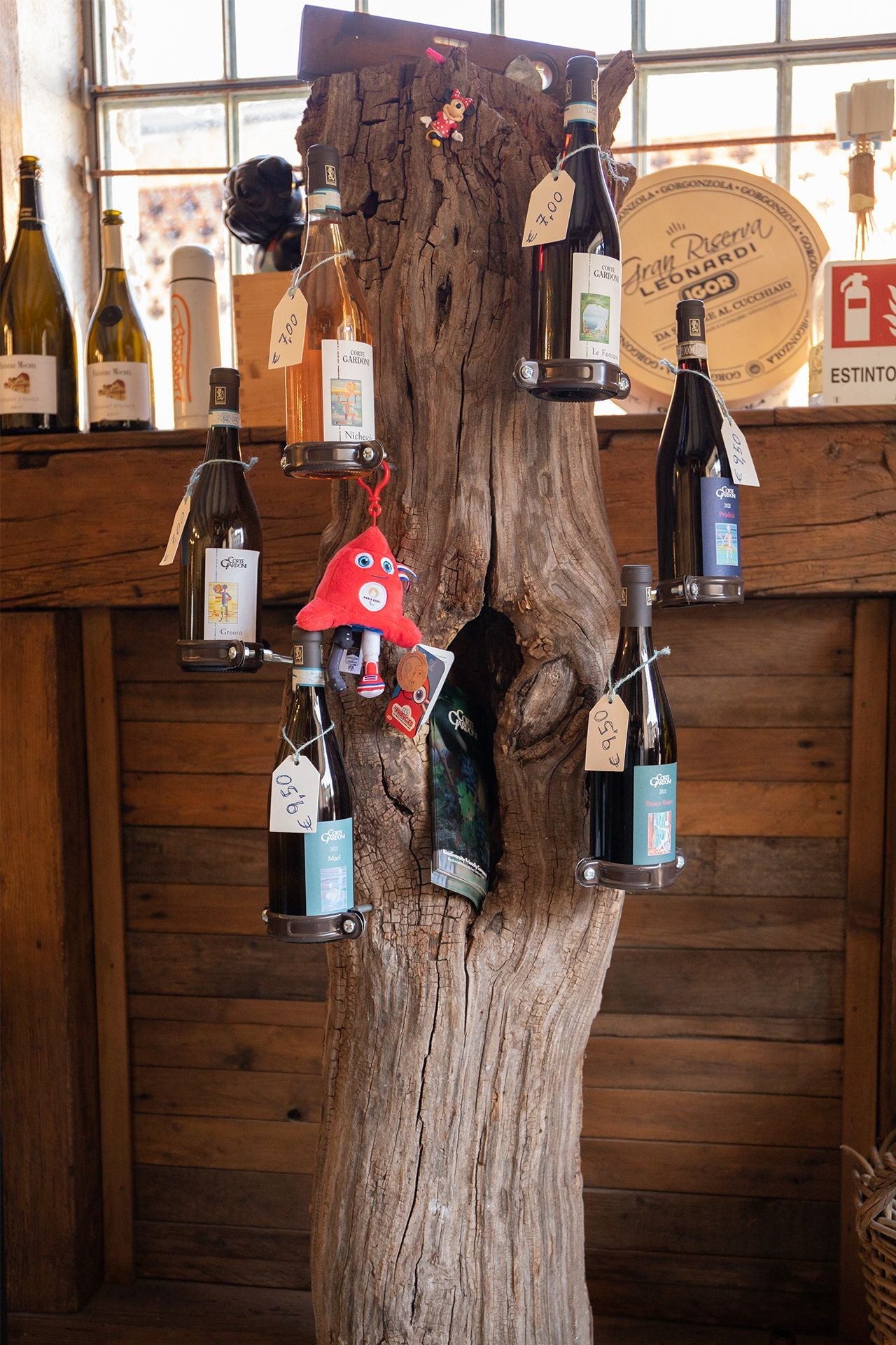 Winery Tour & Guided Tasting of Garda Wines in Valeggio - Wine Tasting - Touraround
