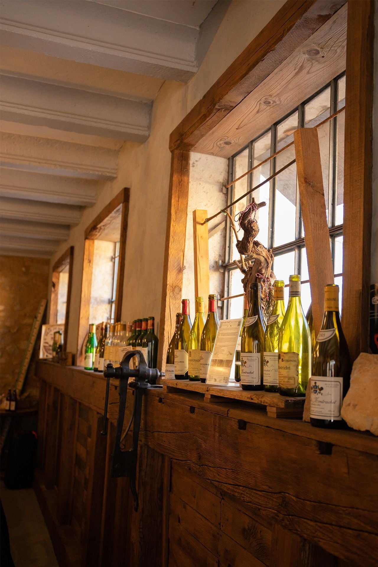 Winery Tour & Guided Tasting of Garda Wines in Valeggio - Wine Tasting - Touraround