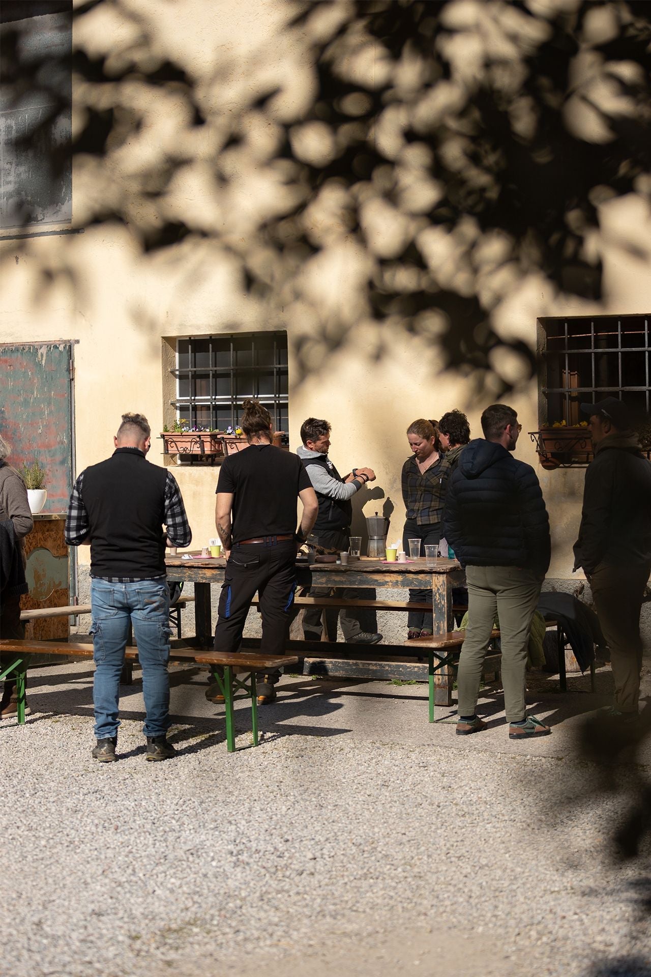 Winery Tour & Guided Tasting of Garda Wines in Valeggio - Wine Tasting - Touraround