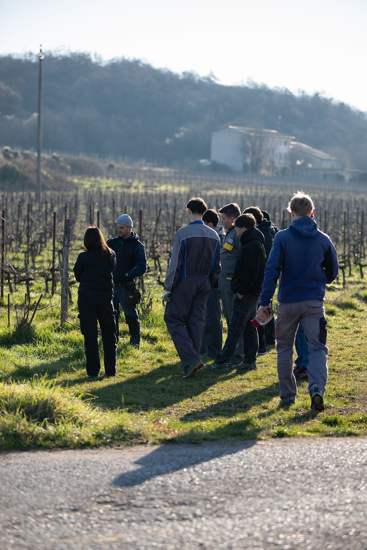 Winery Tour & Guided Tasting of Garda Wines in Valeggio - Wine Tasting - Touraround