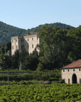 Winery Tour & Tasting on Padova Hills - Wine Tasting - Touraround