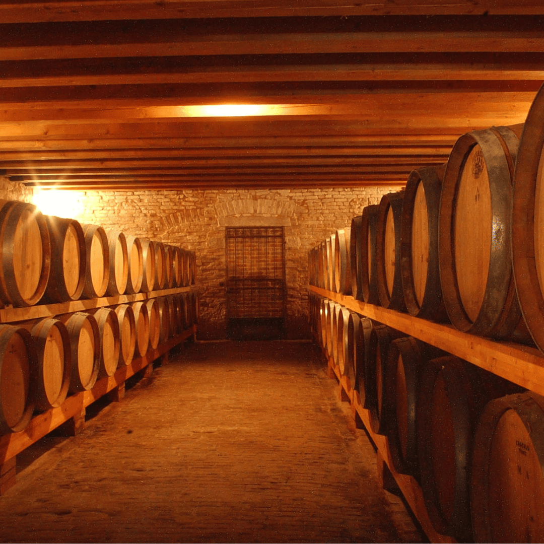 Winery Tour & Tasting on Padova Hills - Wine Tasting - Touraround