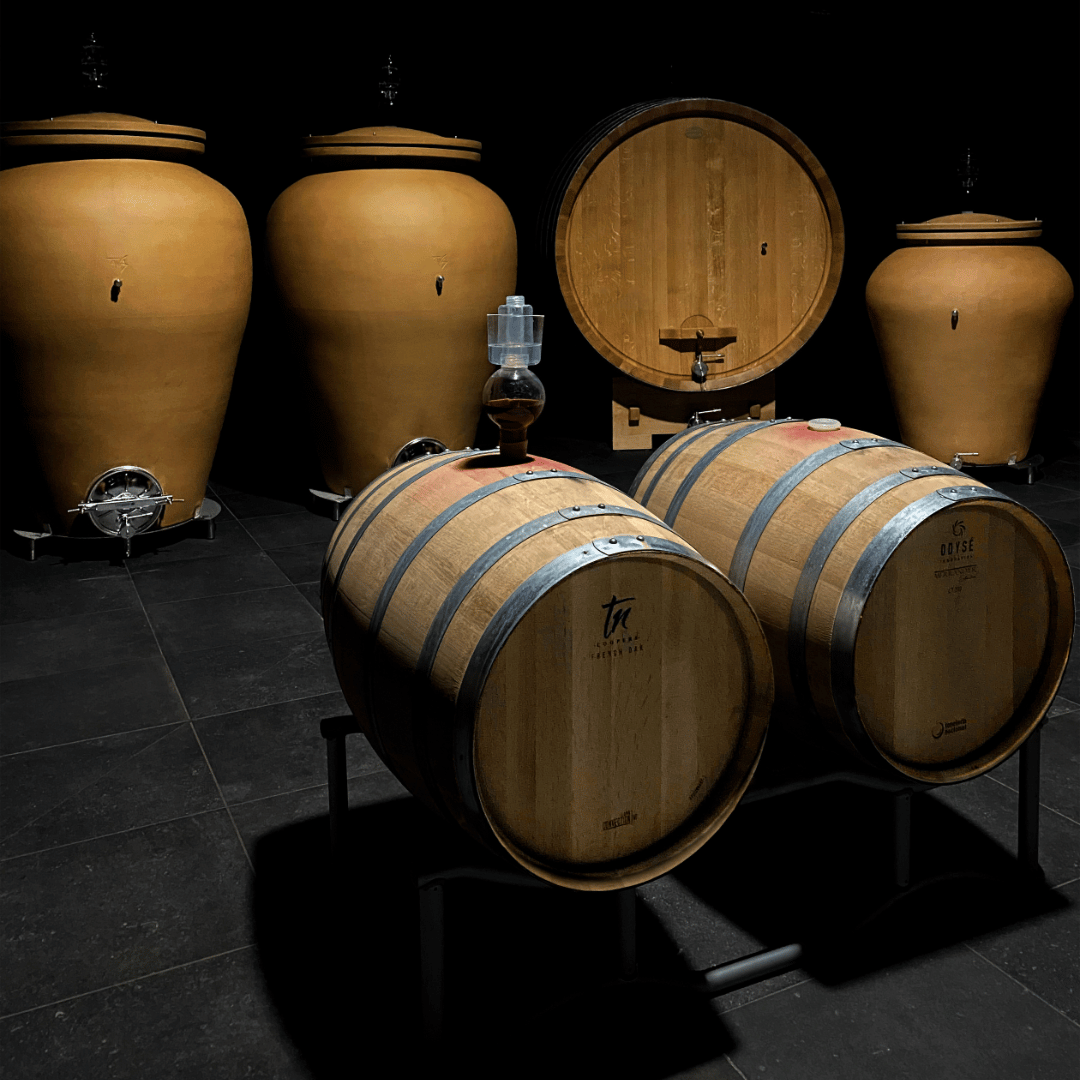 Winery Visit near Turin & Venaria Reale with Wine Tasting & Food Platter - Wine Tasting - Touraround