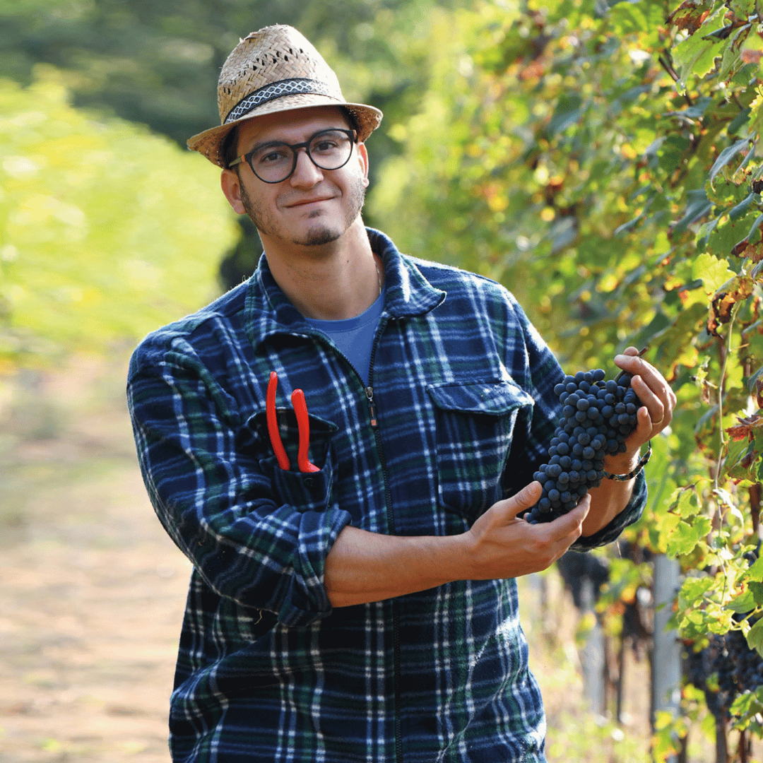 Winery Visit near Turin & Venaria Reale with Wine Tasting & Food Platter - Wine Tasting - Touraround