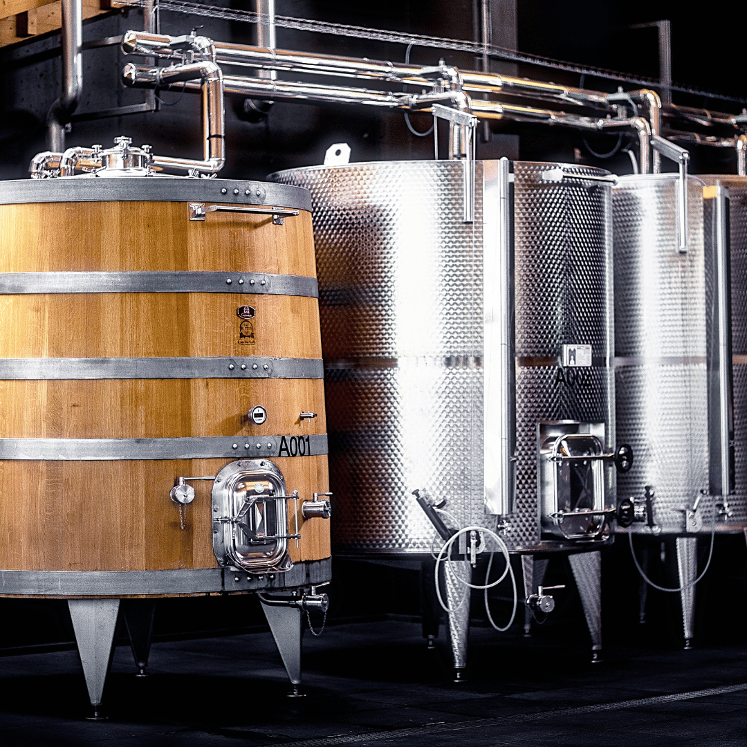 Winery Visit near Turin & Venaria Reale with Wine Tasting & Food Platter - Wine Tasting - Touraround