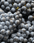 Winery Visit on Parma Hills & Wine Tasting with Food Platter - Wine Tasting - Touraround