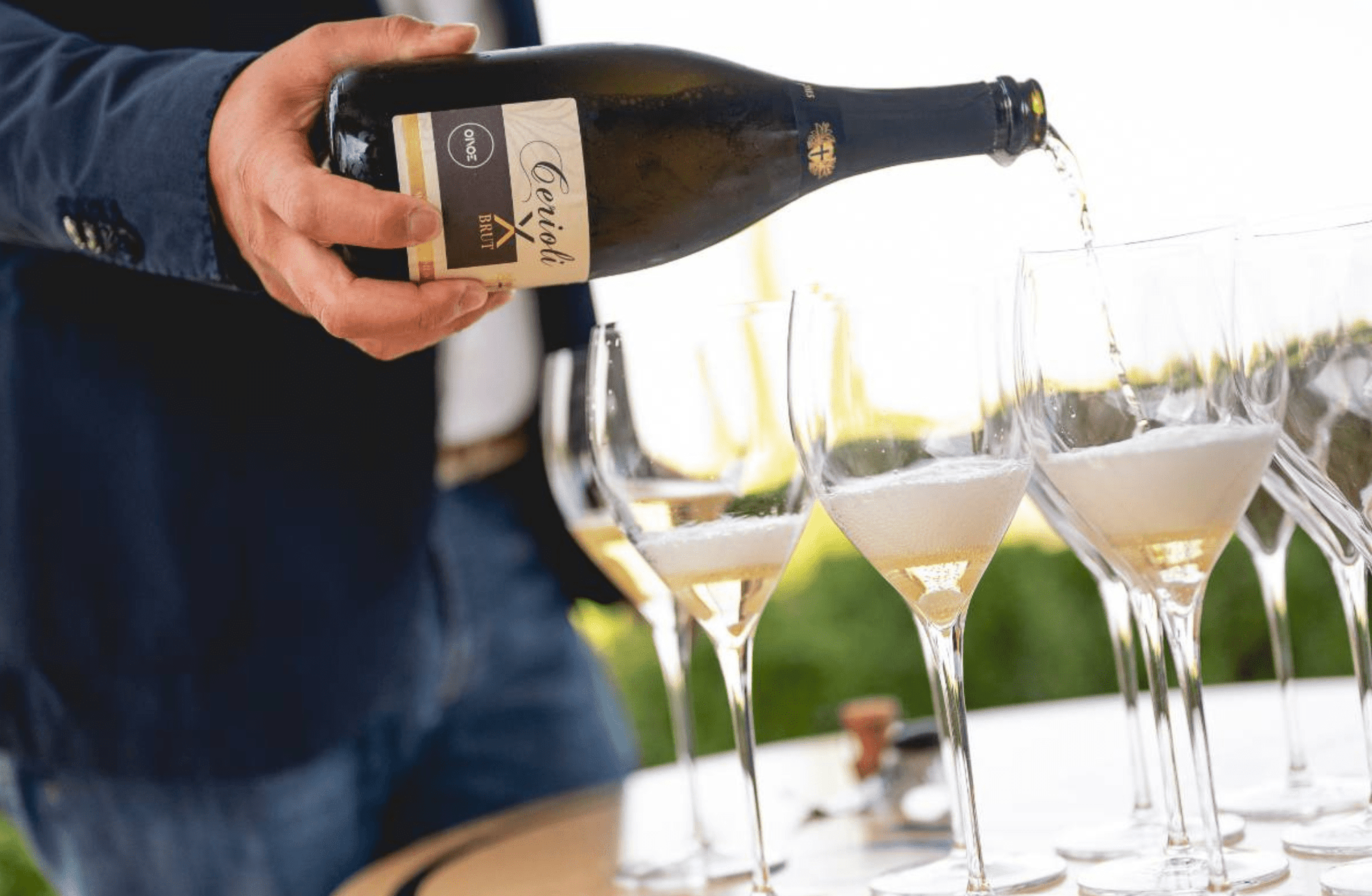 Winery Visit on Parma Hills & Wine Tasting with Food Platter - Wine Tasting - Touraround