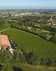 Winery Visit on Parma Hills & Wine Tasting with Food Platter - Wine Tasting - Touraround
