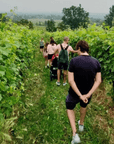 Winery Visit on Parma Hills & Wine Tasting with Food Platter - Wine Tasting - Touraround