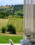 Winery Visit & Tasting near Grosseto with 6 wines - Wine Tasting - Touraround