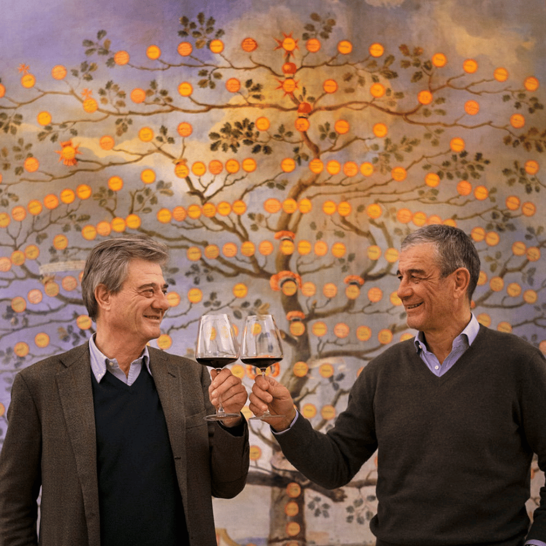 Winery Visit & Tasting near Grosseto with 6 wines - Wine Tasting - Touraround
