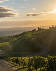 Winery Visit & Tasting near Grosseto with 6 wines - Wine Tasting - Touraround