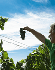 Winery Visit & Tasting near Grosseto with 6 wines - Wine Tasting - Touraround