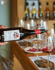 Winery Visit & Tasting near Grosseto with 6 wines - Wine Tasting - Touraround