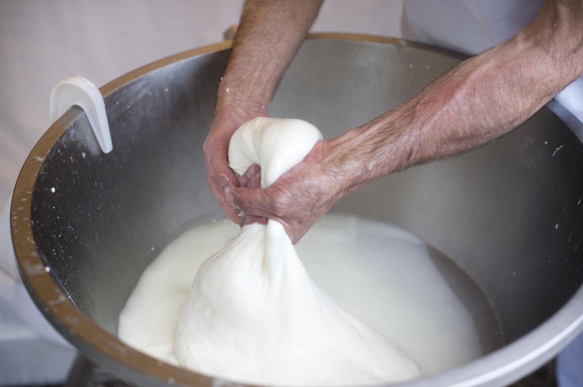 Cheese workshop