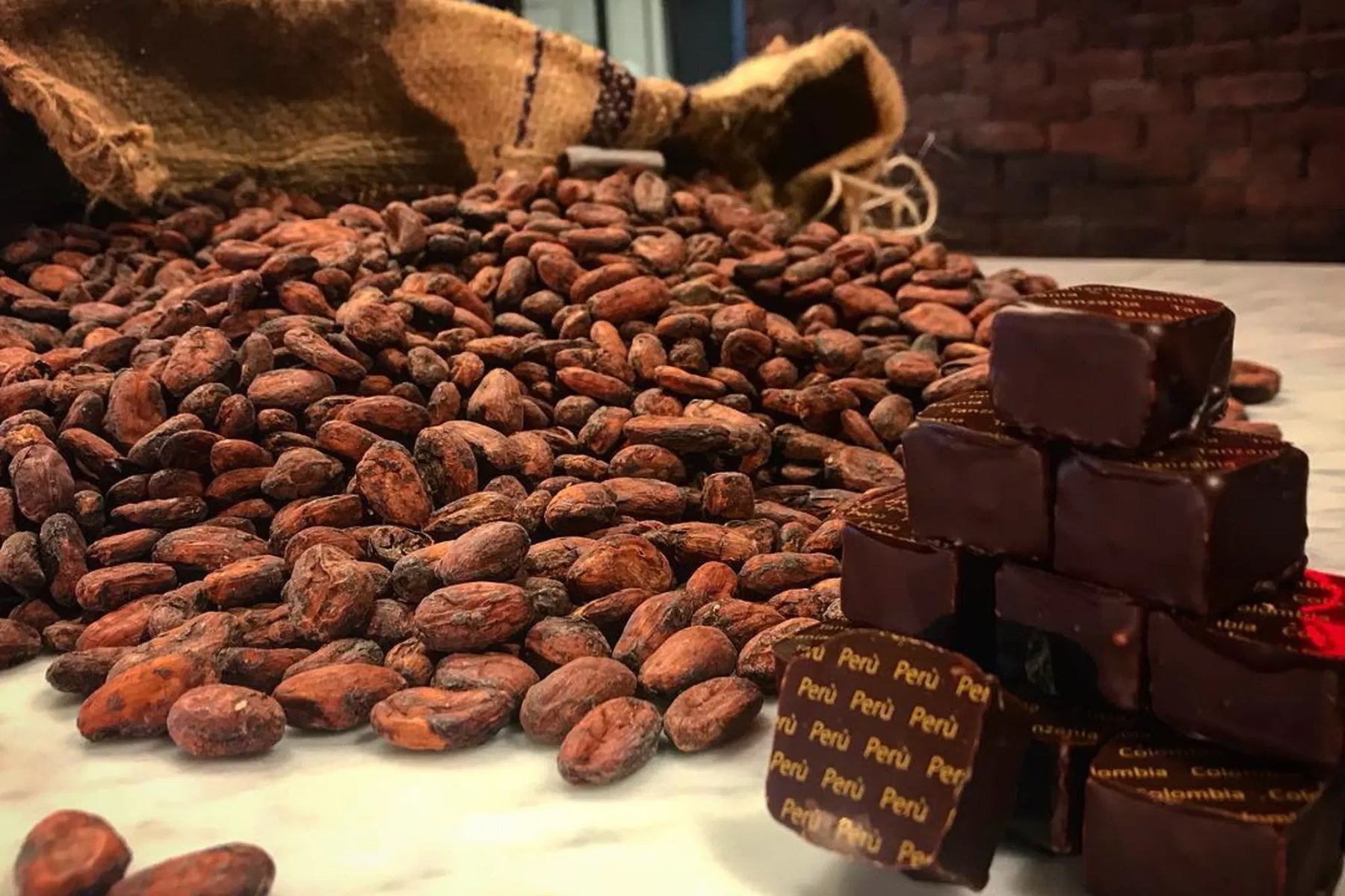 Chocolate tasting