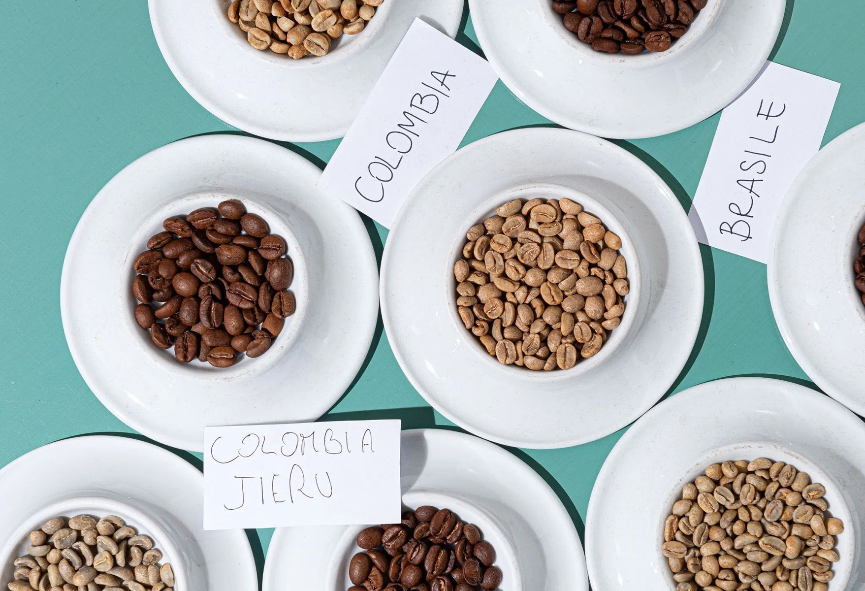 Coffee Tasting
