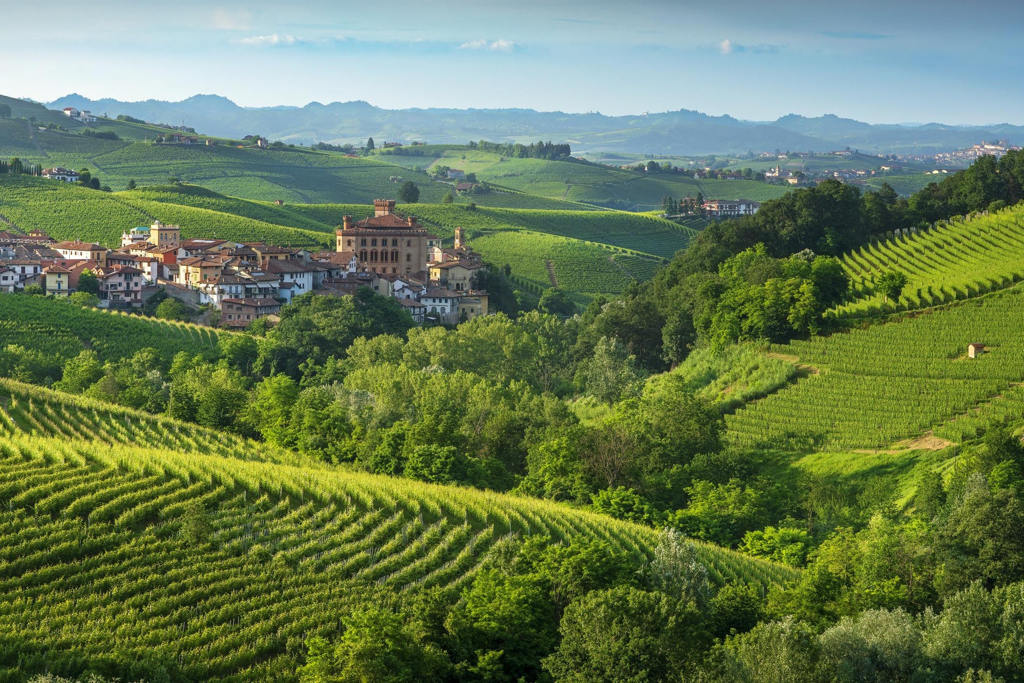 Piedmont